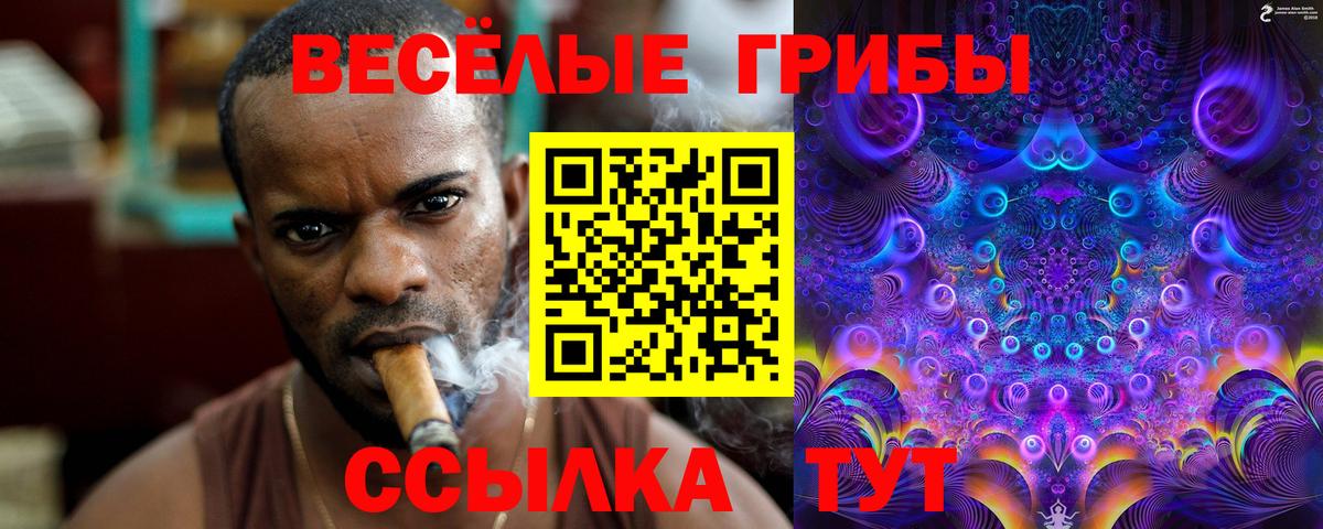 Псилоцибиновые грибы прущие грибы Норильск